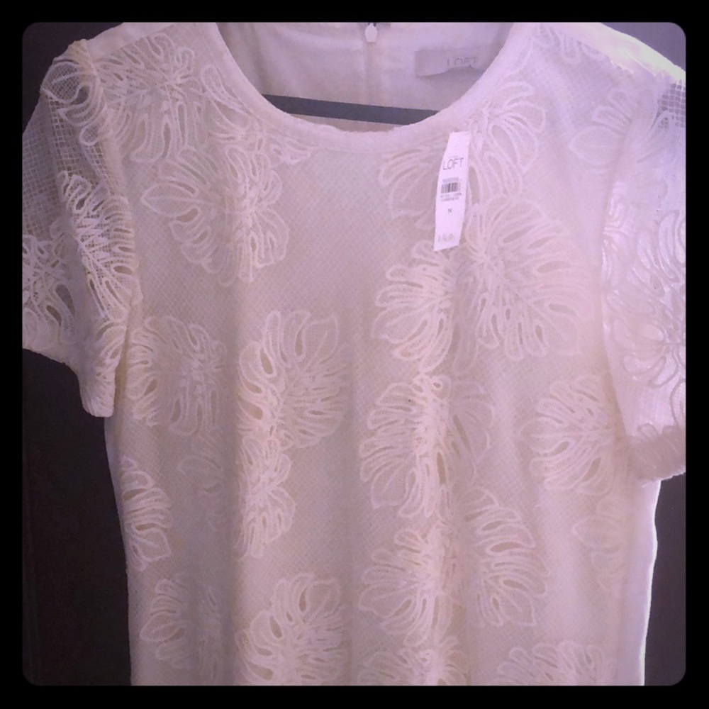 Ann Taylor Loft off white dress